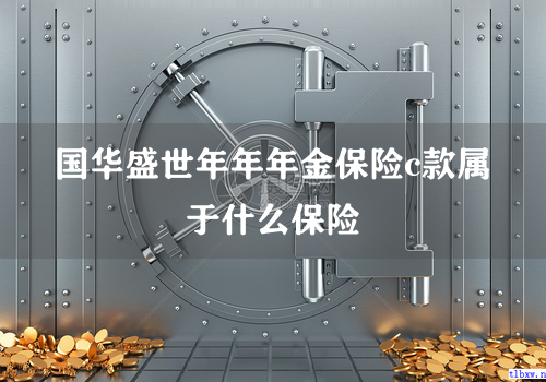 国华盛世年年年金保险c款属于什么保险