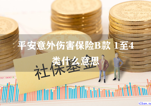 平安意外伤害保险B款 1至4类什么意思