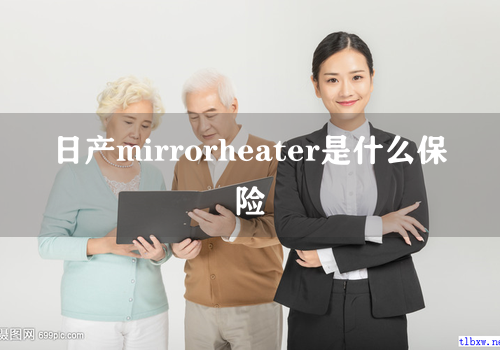 日产mirrorheater是什么保险