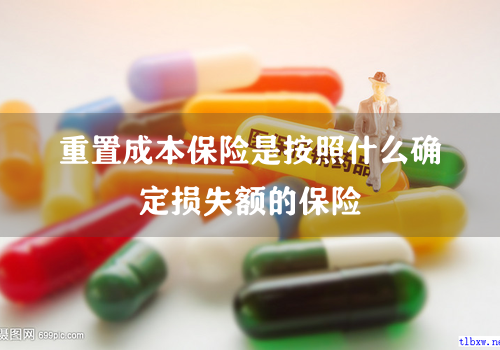 重置成本保险是按照什么确定损失额的保险