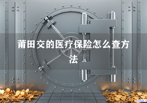 莆田交的医疗保险怎么查方法