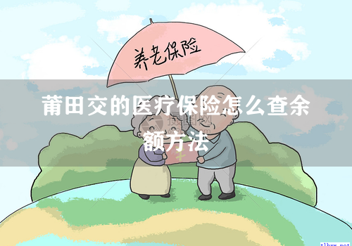 莆田交的医疗保险怎么查余额方法