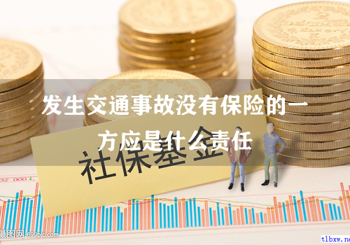 发生交通事故没有保险的一方应是什么责任