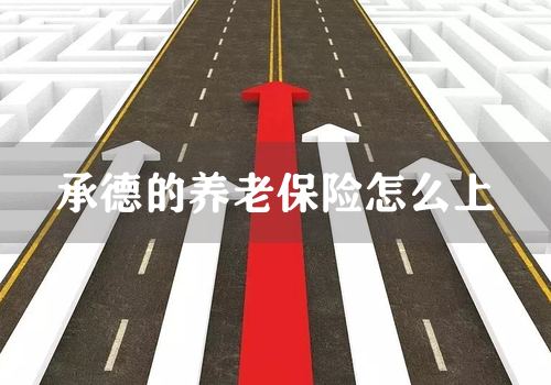 承德的养老保险怎么上