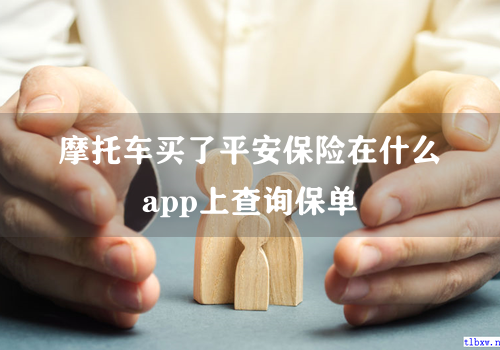 摩托车买了平安保险在什么app上查询保单