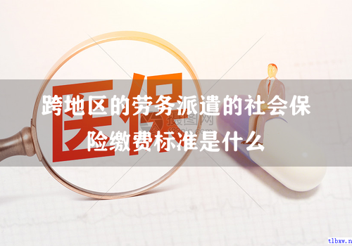 跨地区的劳务派遣的社会保险缴费标准是什么