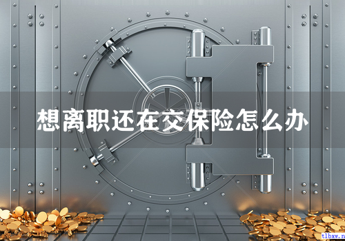 想离职还在交保险怎么办