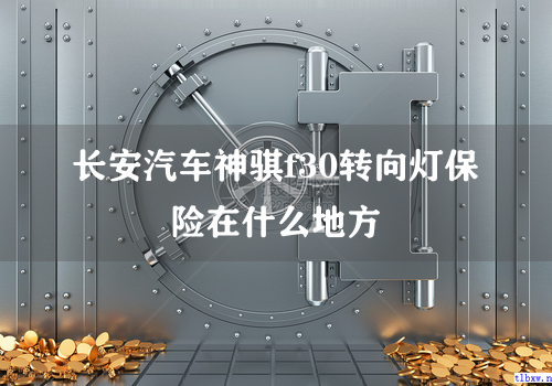 长安汽车神骐f30转向灯保险在什么地方