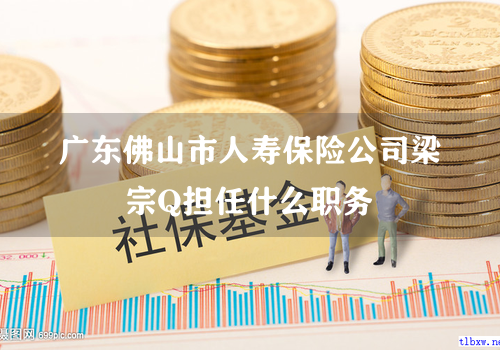 广东佛山市人寿保险公司梁宗Q担任什么职务