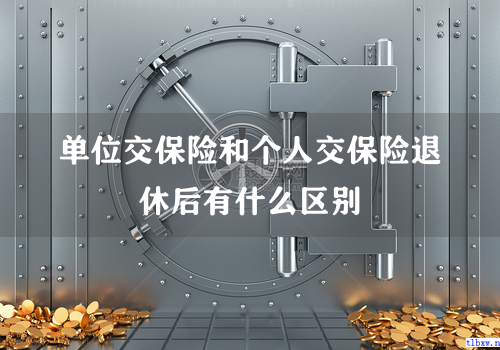 单位交保险和个人交保险退休后有什么区别