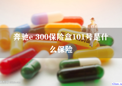奔驰e 300保险盒101号是什么保险