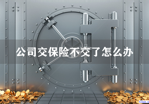 公司交保险不交了怎么办
