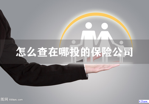 怎么查在哪投的保险公司