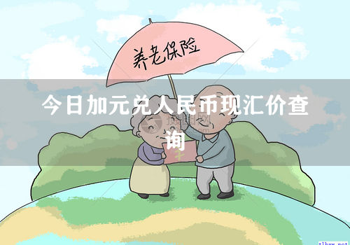 今日加元兑人民币现汇价查询
