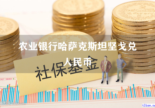 农业银行哈萨克斯坦坚戈兑人民币