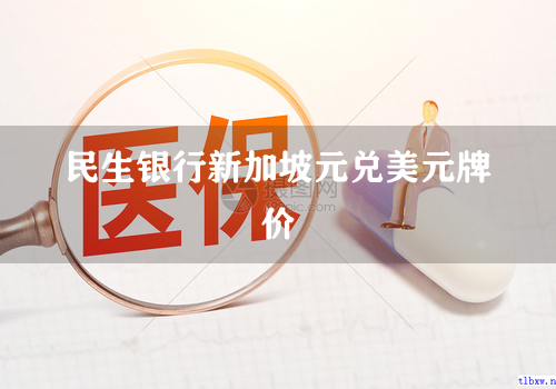 民生银行新加坡元兑美元牌价