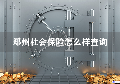 郑州社会保险怎么样查询