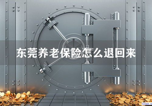 东莞养老保险怎么退回来