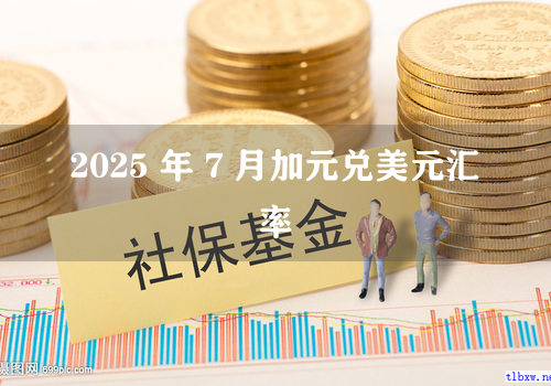 2025 年 7 月加元兑美元汇率