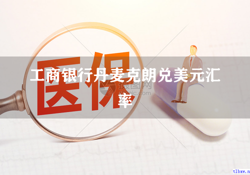 工商银行丹麦克朗兑美元汇率