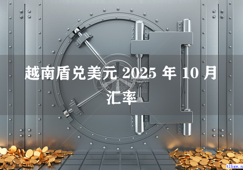 越南盾兑美元 2025 年 10 月汇率