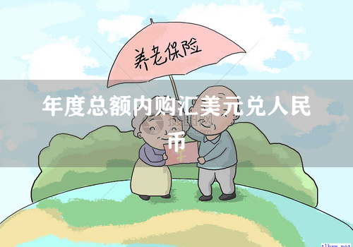 年度总额内购汇美元兑人民币