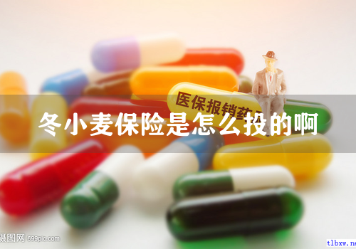 冬小麦保险是怎么投的啊