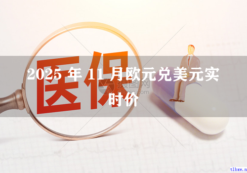 2025 年 11 月欧元兑美元实时价