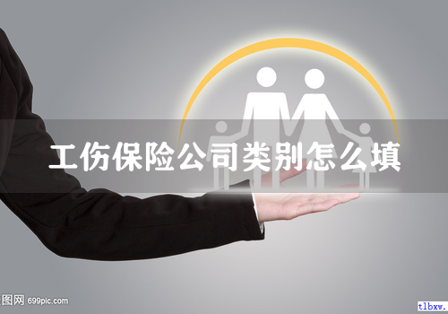 工伤保险公司类别怎么填