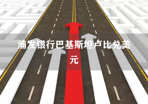 浦发银行巴基斯坦卢比兑美元