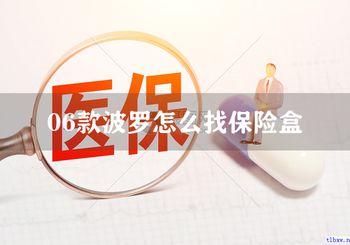 06款波罗怎么找保险盒