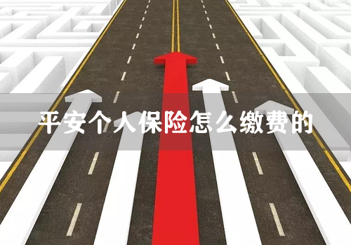 平安个人保险怎么缴费的