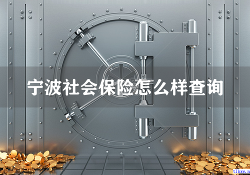 宁波社会保险怎么样查询