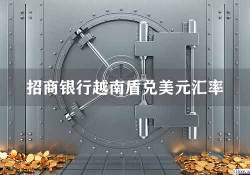 招商银行越南盾兑美元汇率