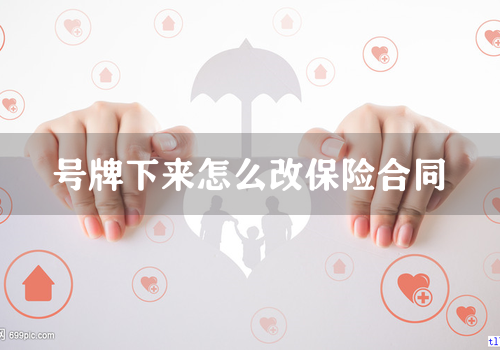 号牌下来怎么改保险合同
