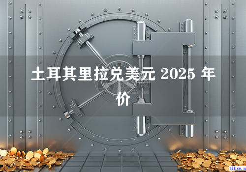 土耳其里拉兑美元 2025 年价