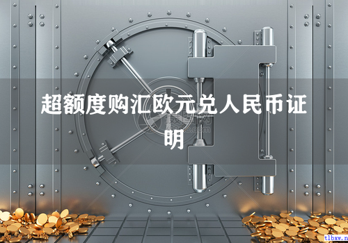 超额度购汇欧元兑人民币证明