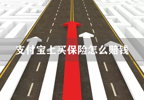 支付宝上买保险怎么赔钱