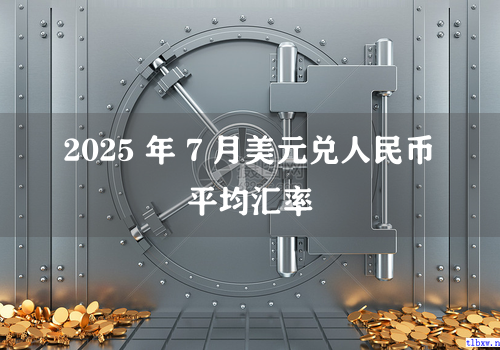 2025 年 7 月美元兑人民币平均汇率