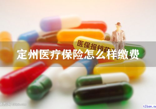 定州医疗保险怎么样缴费