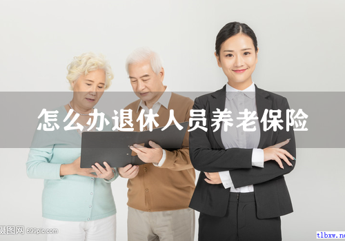 怎么办退休人员养老保险