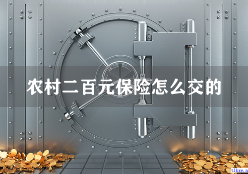 农村二百元保险怎么交的