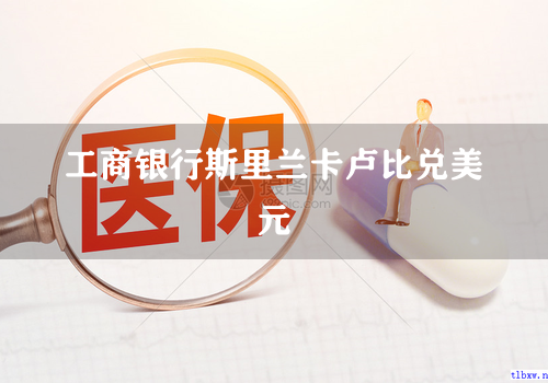 工商银行斯里兰卡卢比兑美元