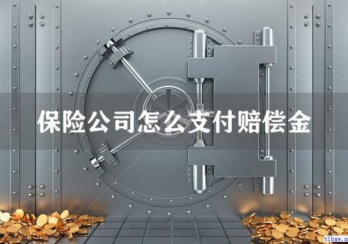 保险公司怎么支付赔偿金