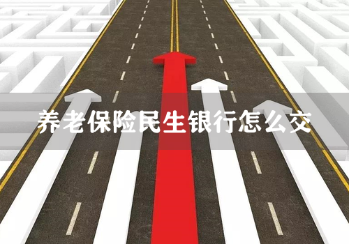 养老保险民生银行怎么交