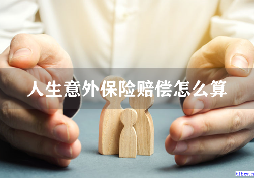 人生意外保险赔偿怎么算
