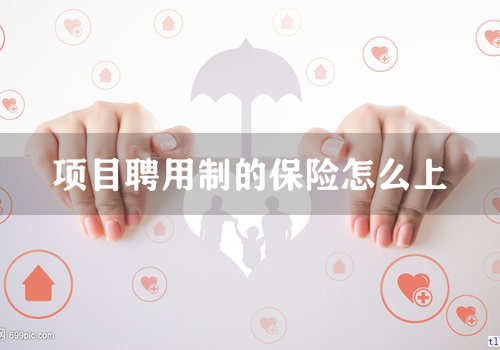 项目聘用制的保险怎么上