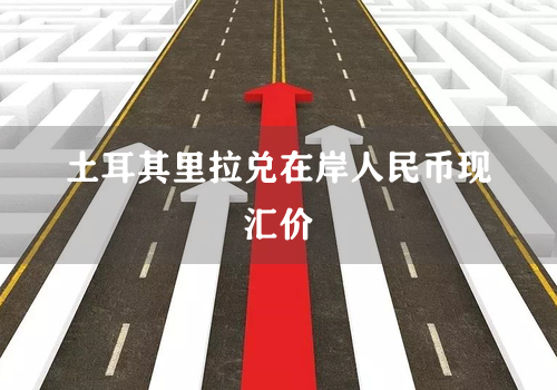 土耳其里拉兑在岸人民币现汇价