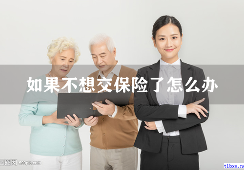如果不想交保险了怎么办