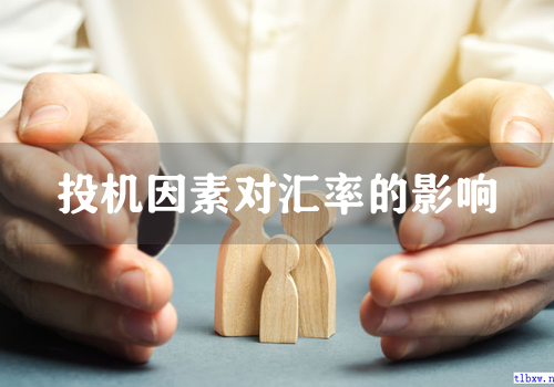 投机因素对汇率的影响